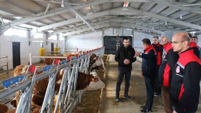 Tarım ve Orman Bakanlığı’nın Kırsal Kalkınma Yatırımlarının Desteklenmesi Programı (KKYDP)