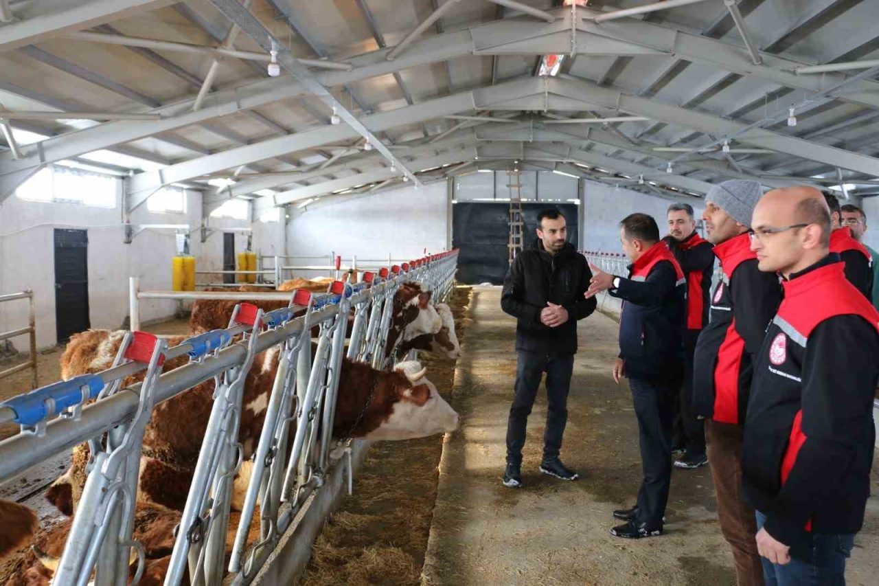 Tarım ve Orman Bakanlığı’nın Kırsal Kalkınma Yatırımlarının Desteklenmesi Programı (KKYDP)