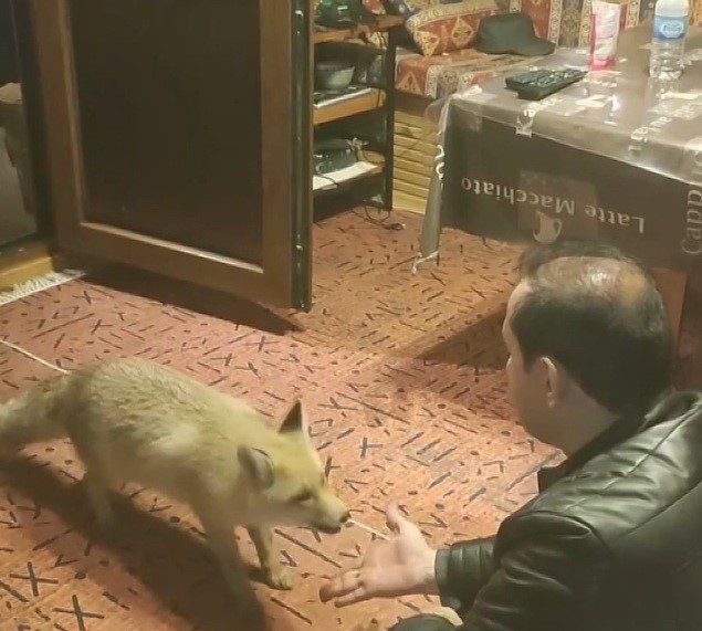 Erzincan’ın Tercan ilçesinde işadamı Menderes Karagül, çiftlik evinde kendisine alıştırdığı