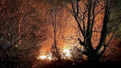 Zonguldak’ın Çaycuma ilçesine bağlı Filyos beldesinde ağaçlık alanda çıkan yangın