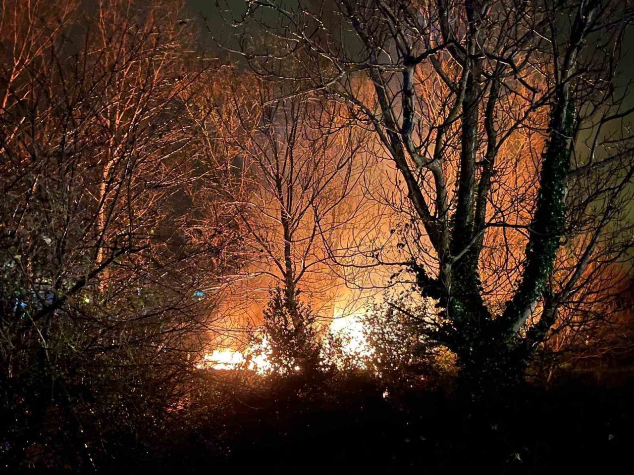 Zonguldak’ın Çaycuma ilçesine bağlı Filyos beldesinde ağaçlık alanda çıkan yangın
