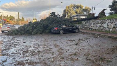 Kocaeli’nin Gebze ilçesinde fırtına sebebiyle cadde üzerindeki bir ağaç park