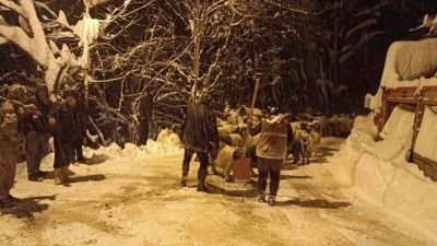 Giresun’un Güce ilçesinde meydana gelen çığ olayında bir çoban hayatını