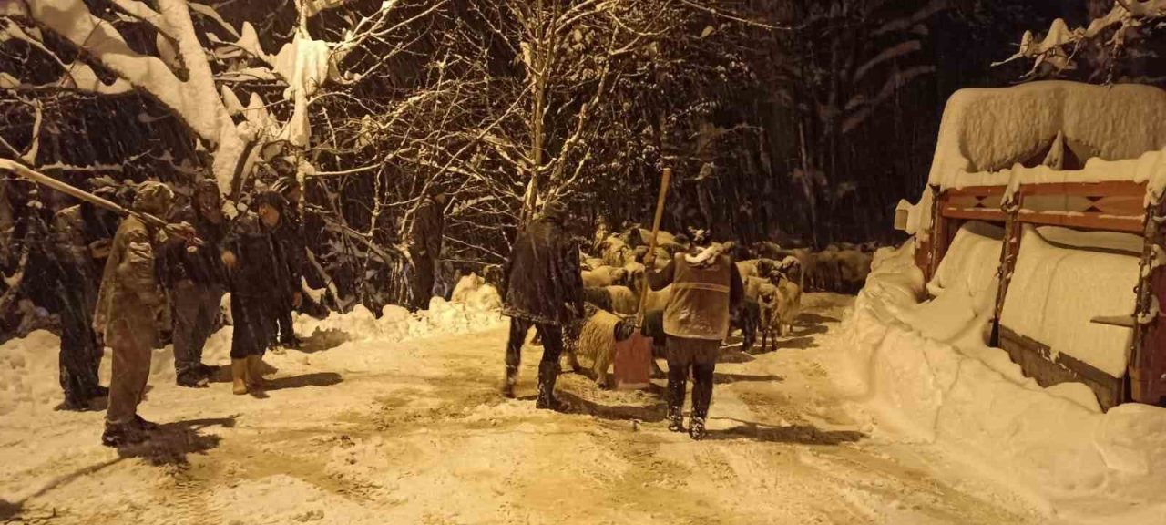 Giresun’un Güce ilçesinde meydana gelen çığ olayında bir çoban hayatını