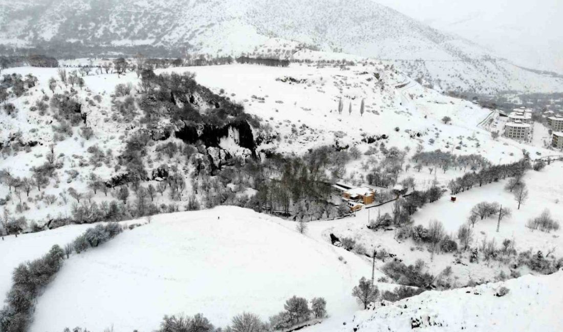 Çevre ve Şehircilik Bakanlığı Tabiat Varlıklarını Koruma Genel Müdürlüğü tarafından
