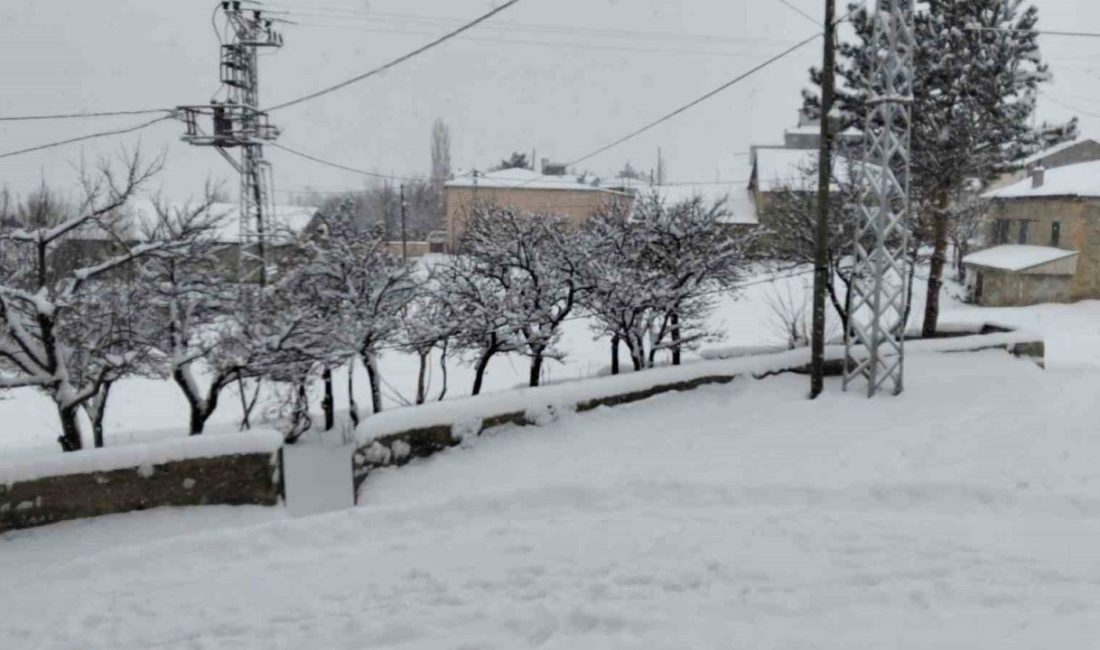 Bayburt’un Aydıntepe ilçesine bağlı Çiğdemlik köyünde yaşayan vatandaşlar, kar yağışı