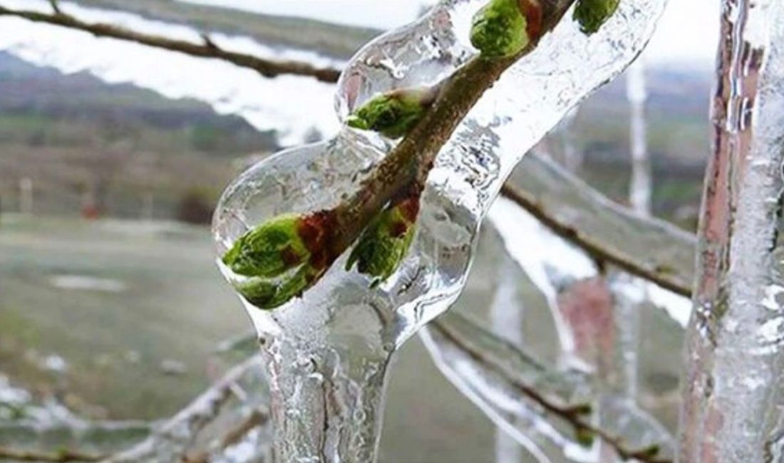Antalya’nın Manavgat ilçesine bağlı Beşkonak Mahallesi sınırlarındaki Çanakyaran Yaylası, etkili