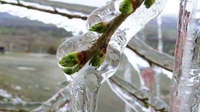 Antalya’nın Manavgat ilçesine bağlı Beşkonak Mahallesi sınırlarındaki Çanakyaran Yaylası, etkili