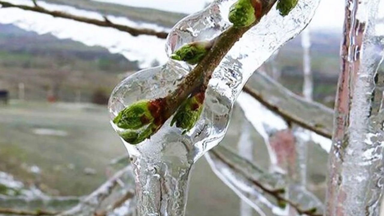 Antalya’nın Manavgat ilçesine bağlı Beşkonak Mahallesi sınırlarındaki Çanakyaran Yaylası, etkili