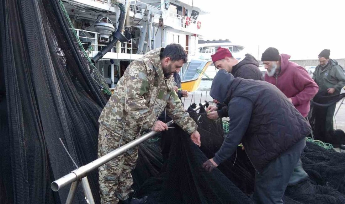 Türkiye’nin İğneada açıklarında ve Gürcistan sularındaki hamsi avından beklenen verimi