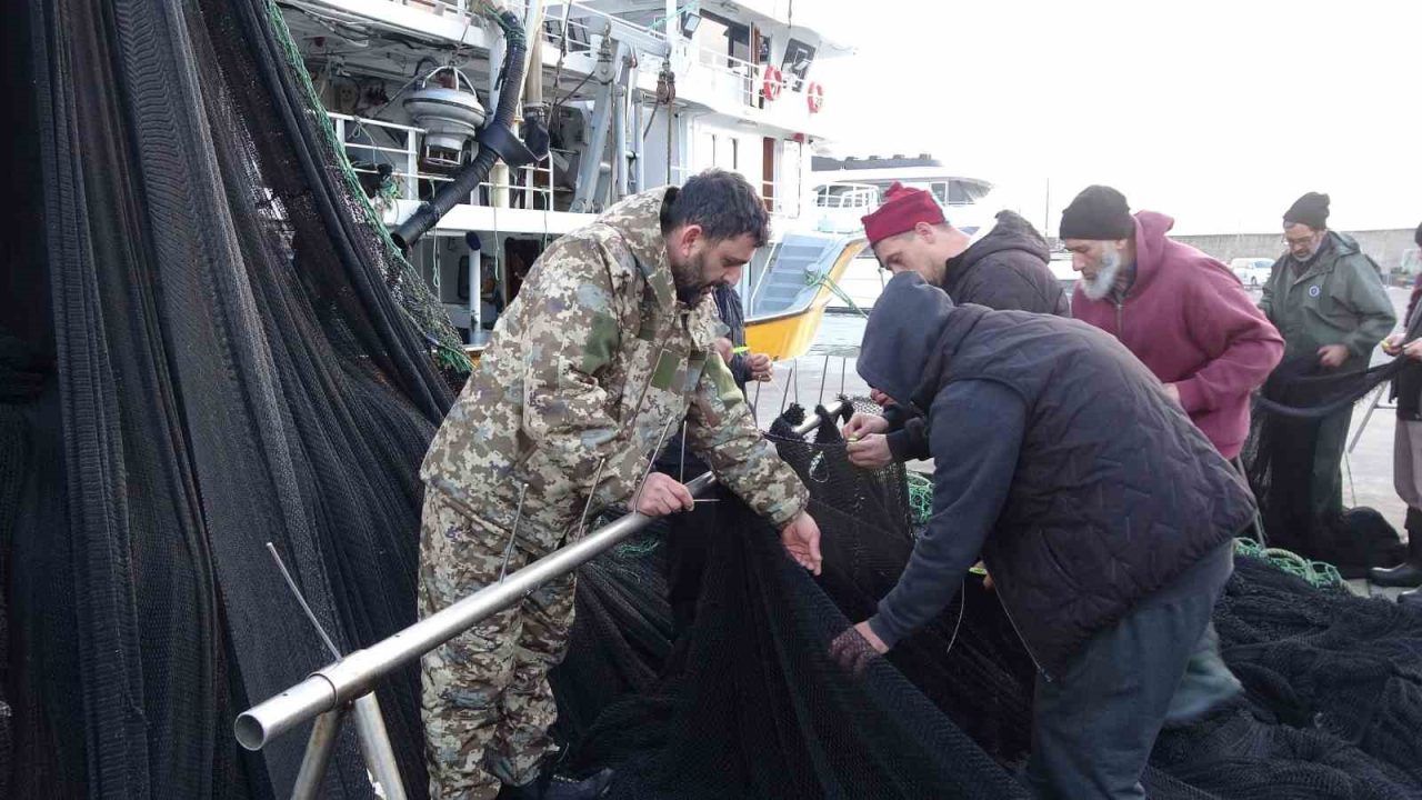 Türkiye’nin İğneada açıklarında ve Gürcistan sularındaki hamsi avından beklenen verimi