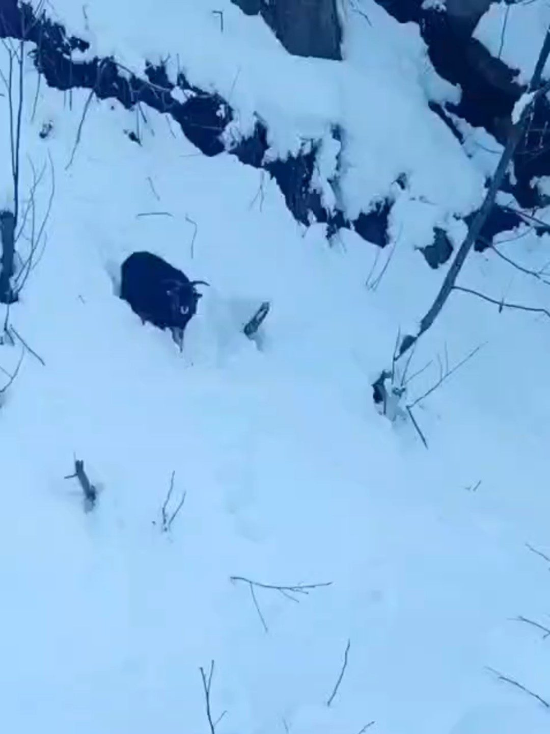 Rize’nin Ardeşen ilçesinde kardan kapanan yolda çalışma yapan operatör, kaybolan