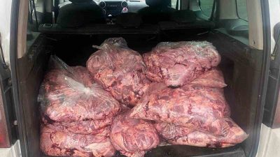 Zonguldak’ta jandarma ekiplerinin yol kontrolleri sırasında durdurduğu bir araçta 450