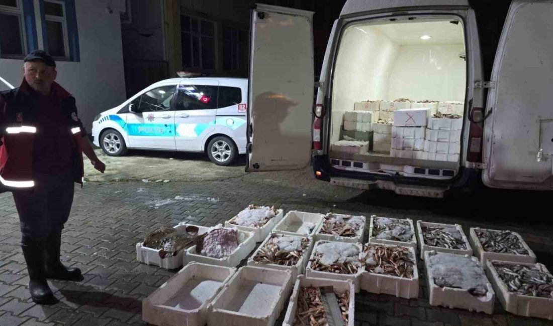 Kastamonu’nun Çatalzeytin ilçesinde yasa dışı avlanan 1,5 ton balığa el