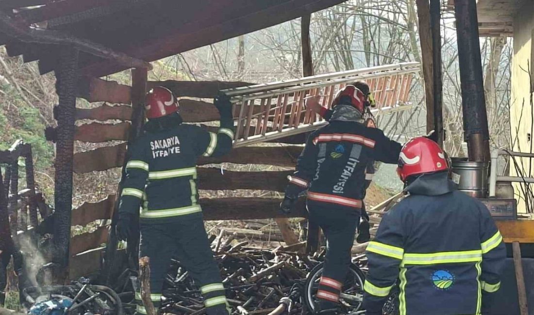 Sakarya’nın Akyazı ilçesinde tek katlı evin bitişiğindeki odunlukta çıkan yangın