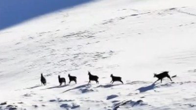 Erzincan ile Tunceli arasında uzanan ve 3 bin 300 rakıma