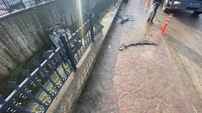 Sakarya’nın Akyazı ilçesinde seyir halindeki otomobilin kontrolden çıkarak su kanalına