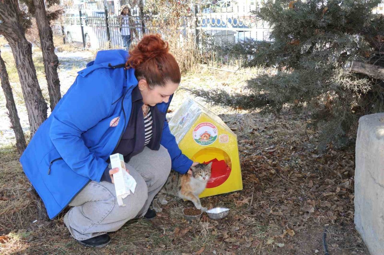 Doğu Anadolu Bölgesi’ni etkisi altına alan soğuk hava şartları nedeniyle