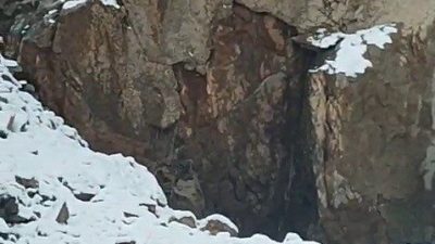 Erzurum’un İspir ilçesi Çamlıkaya Mahallesi Ortabag mevkiinde bulunan Arban Elektrik