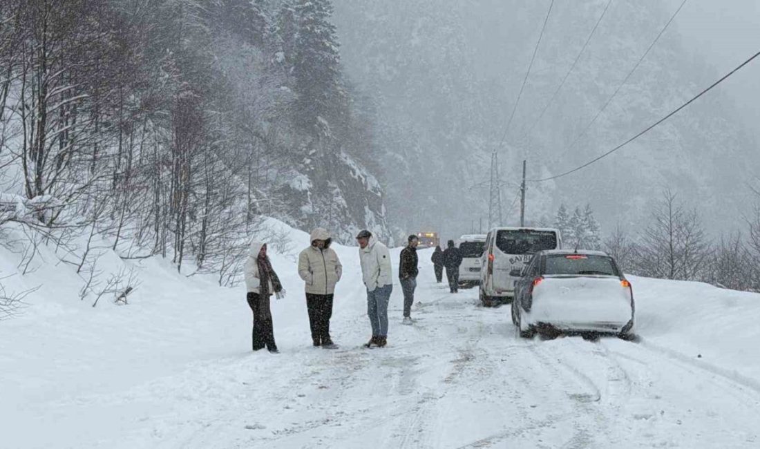 Trabzon-Bayburt karayolu Tilkibeli mevkiinde meydana gelen çığ nedeniyle karayolu ulaşıma