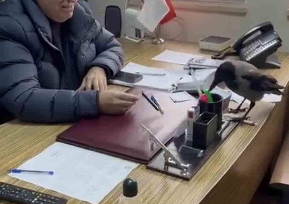 Trabzon’un Beşikdüzü ilçesinde Belediye Başkanı Cahit Erdem’in bir karga ile