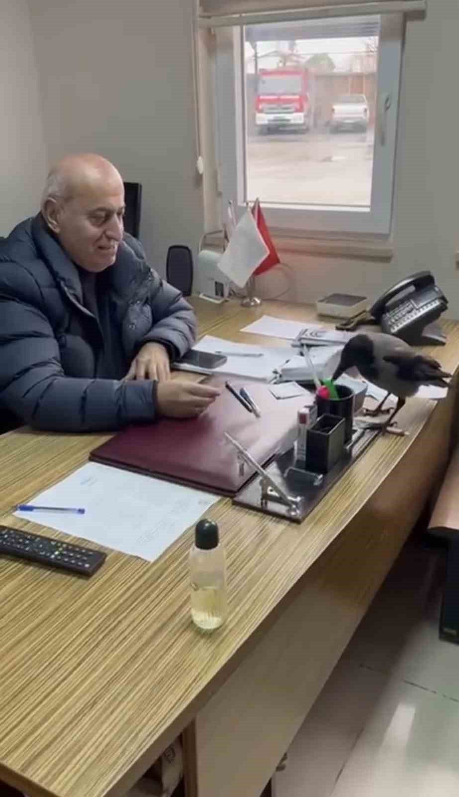 Trabzon’un Beşikdüzü ilçesinde Belediye Başkanı Cahit Erdem’in bir karga ile