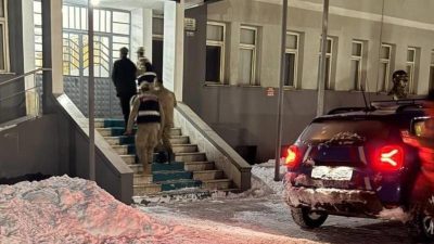 Tunceli’nin Ovacık ilçesinde yeni doğmuş bir köpek yavrusuna eziyet edildiği