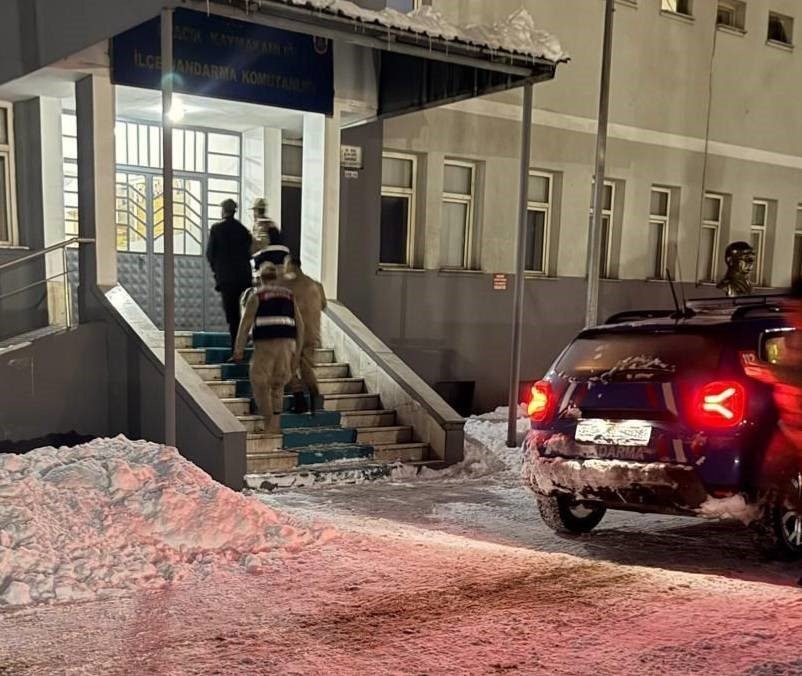 Tunceli’nin Ovacık ilçesinde yeni doğmuş bir köpek yavrusuna eziyet edildiği