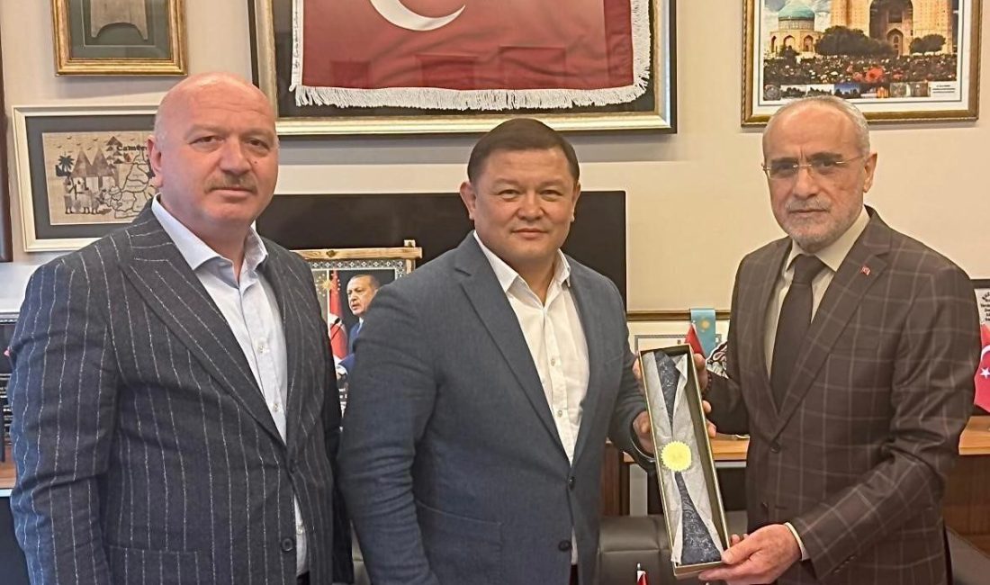 Kırgızistan Meclisi Eski Başkanı ve Milletvekili Dastanbek Cumabekov, Cumhurbaşkanı Başdanışmanı