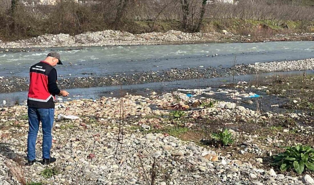 Zonguldak’ın Alaplı’da geçtiğimiz günlerde su kuyularına telef tavuk karıştığı iddiası