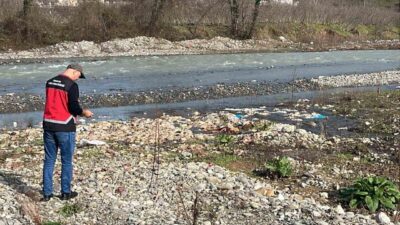 Zonguldak’ın Alaplı’da geçtiğimiz günlerde su kuyularına telef tavuk karıştığı iddiası