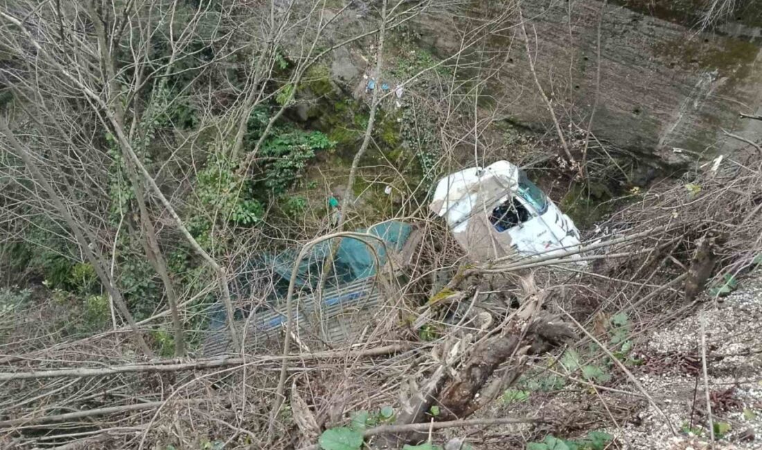 Zonguldak’ın Alaplı ilçesi Yığılca yolu Kabalar köyü Burgaz mevkiinde meydana