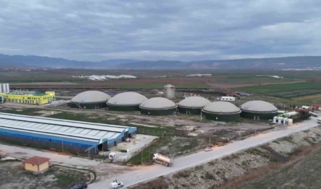 Amasya’nın Suluova ilçesinde biyogaz tesisinde gazdan zehirlenerek hayatını kaybeden 3