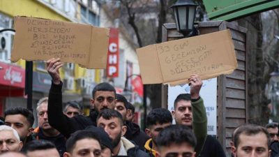 Artvin’in Ardanuç ilçesine bağlı Zekeriya köyü Aksu Dağı bölgesinde 31