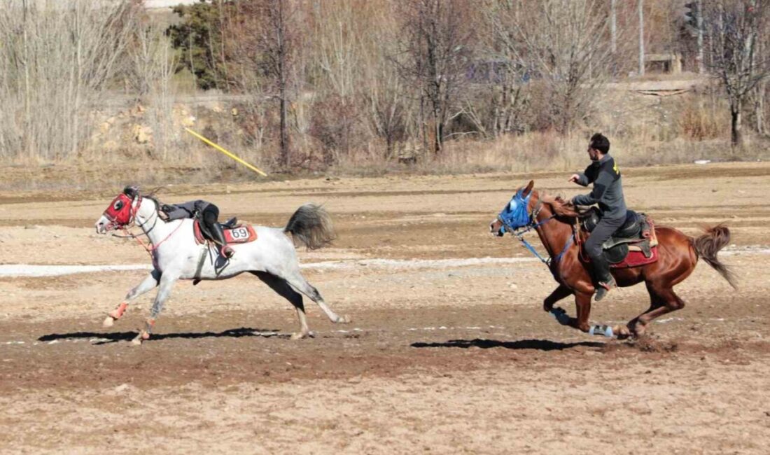 Bayburt’un düşman işgalinden kurtuluşunun 108’inci yıl dönümü etkinlikleri kapsamında ata