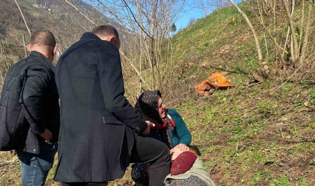 Trabzon’un Vakfıkebir ilçesinde cenazeye katılmak üzere yola çıkan vatandaşların dikkati,