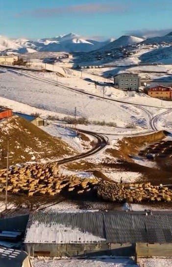 Erzincan’ın İliç ilçesinde küçükbaş hayvancılık, yıllardır olduğu gibi bugün de
