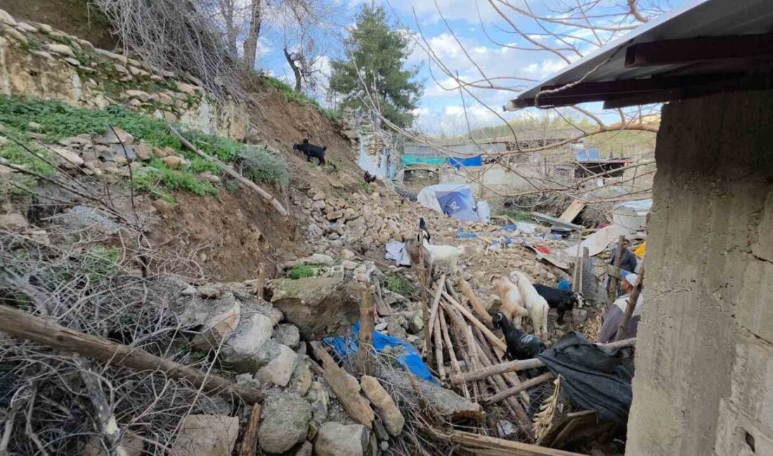 Hatay’da etkili aşırı yağışla birlikte Adem Göçer’e ait küçükbaş hayvan