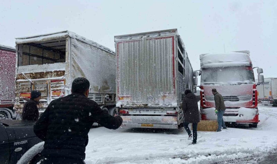 Erzincan’da etkili olan yoğun kar yağışı nedeniyle yolda mahsur kalan