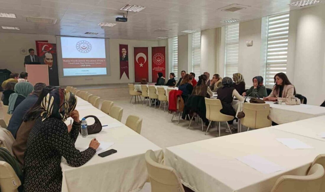 Gümüşhane’de kadına yönelik şiddetle mücadelede ulusal politikaların yerelde etkin uygulanması