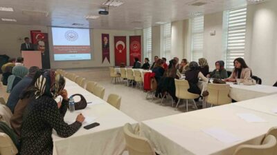 Gümüşhane’de kadına yönelik şiddetle mücadelede ulusal politikaların yerelde etkin uygulanması