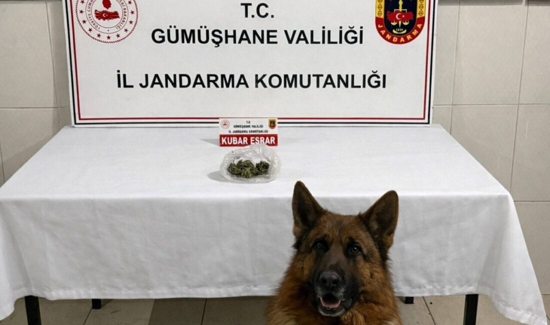 Gümüşhane’nin Kürtün ilçesinde jandarma ekiplerince durdurulan araçta 15 gram kubar
