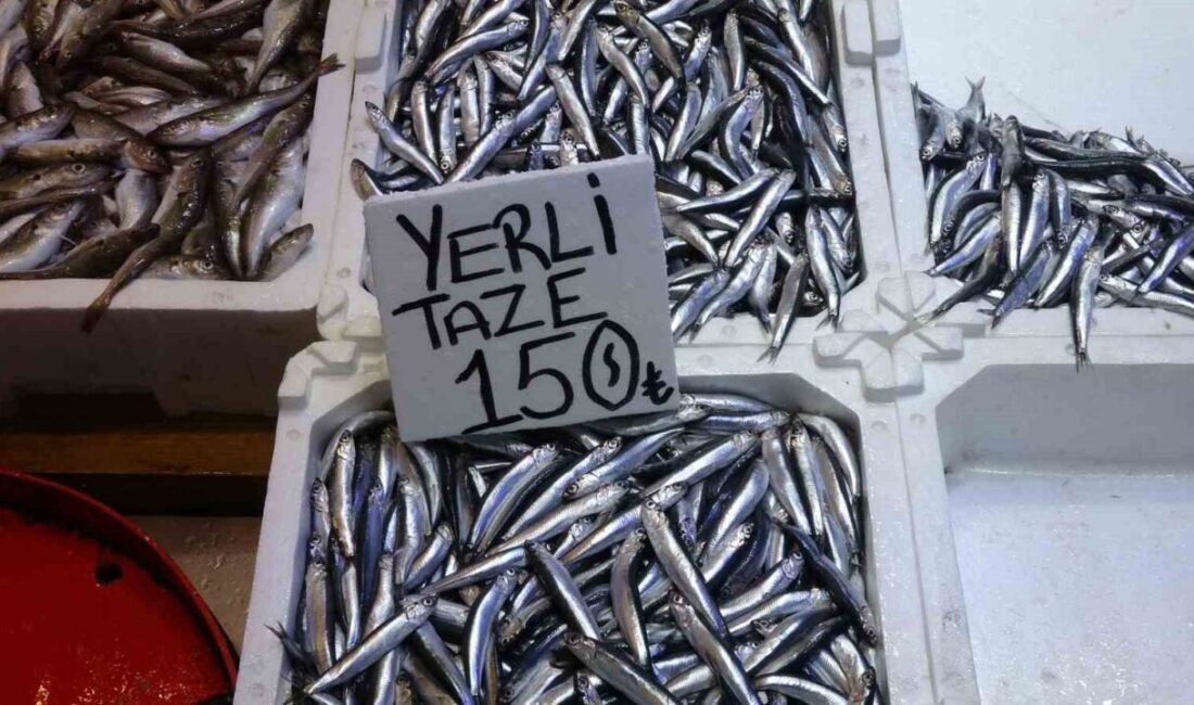 Yaklaşık bir buçuk aydır tezgahlarda pek görülmeyen yerli hamsi, uzun