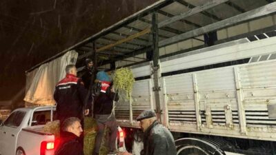 Erzurum’da etkili olan kar yağışı ve kış şartları, hayvan sahiplerini