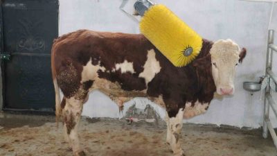 IPARD III Programı kapsamında Erzincan’da tarım ve hayvancılığa yönelik 12