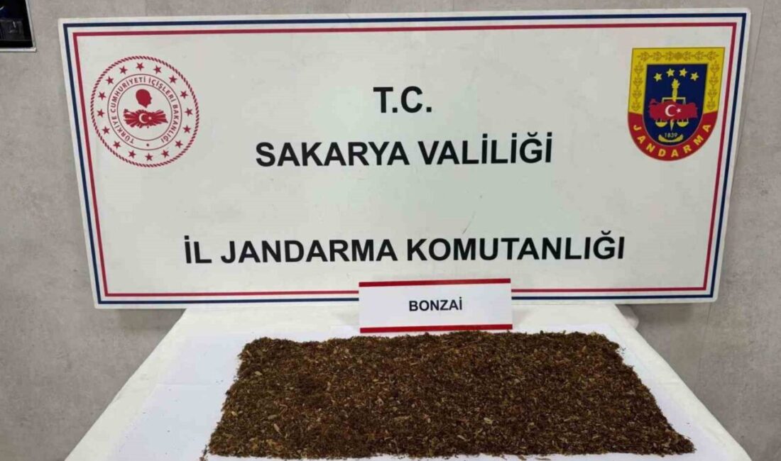 Sakarya’nı Sapanca ilçesinde jandarma ekiplerince düzenlenen uyuşturucu operasyonunda gözaltına alınan
