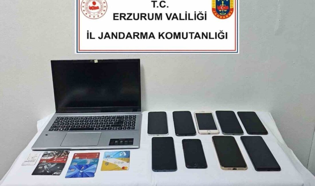 Erzurum İl Jandarma Komutanlığınca, Siber Suçlarla Mücadele Daire Başkanlığı koordinesinde