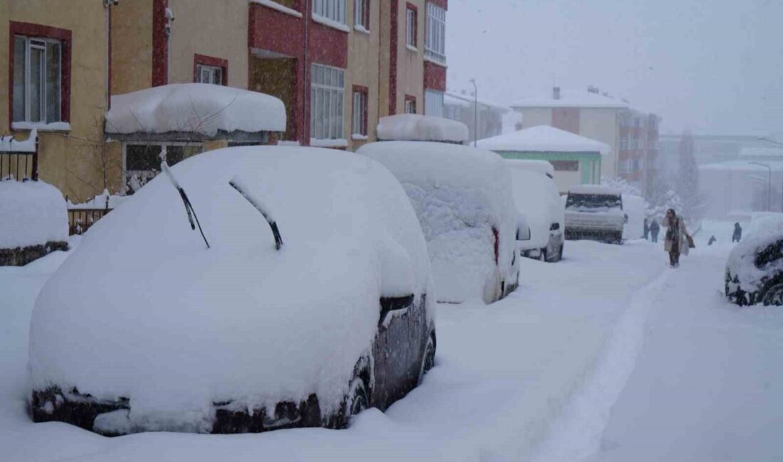 Erzurum’da dün geceden bu yana etkili olan kuvvetli kar yağışı