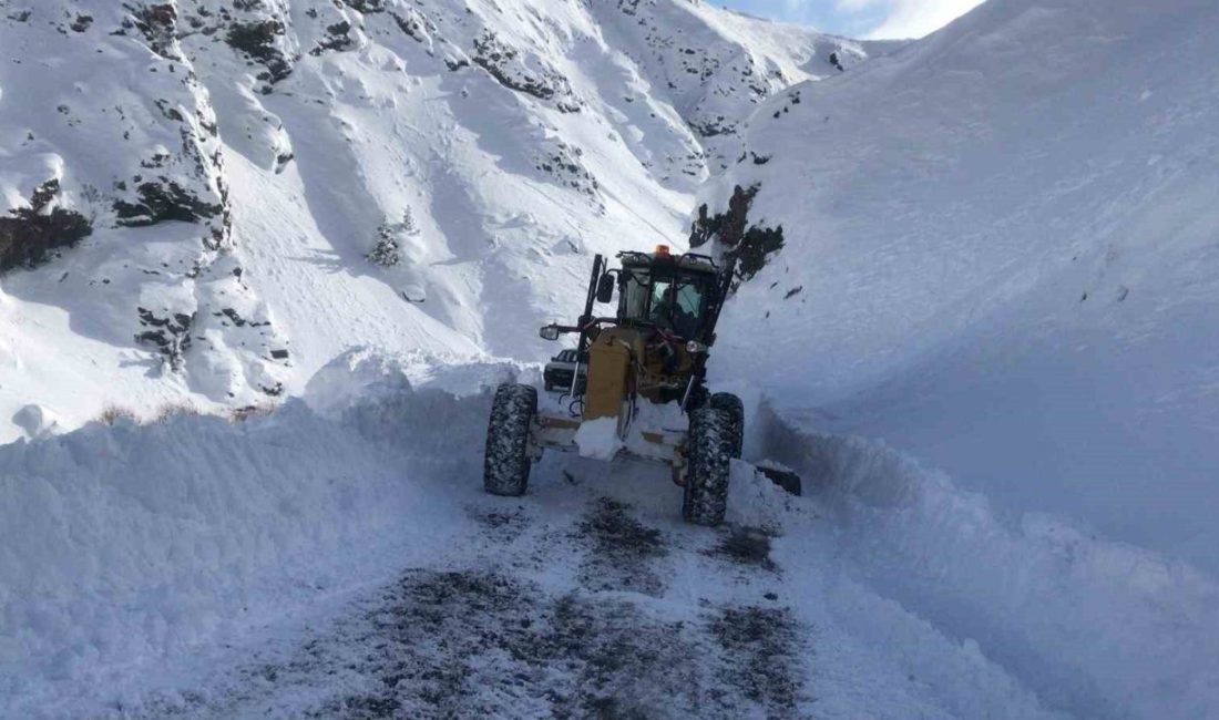 Erzincan’ın Kemaliye ilçesinde kar yağışı ve tipi nedeniyle kapanan köy