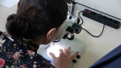 Karadeniz Teknik Üniversitesi’nde (KTÜ) geliştirilen yeni nesil antikanser bileşikleri, kolorektal